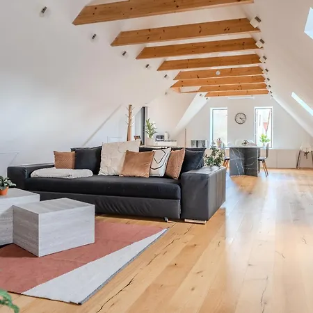 Danube Living Collection - Dachsberggasse - 90qm Altstadt-loft Mit Stadtblick Appartement Krems an der Donau