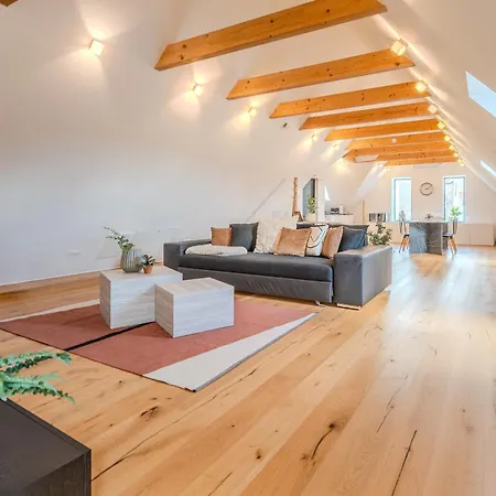 Apartment Danube Living Collection - Dachsberggasse - 90qm Altstadt-loft Mit Stadtblick *