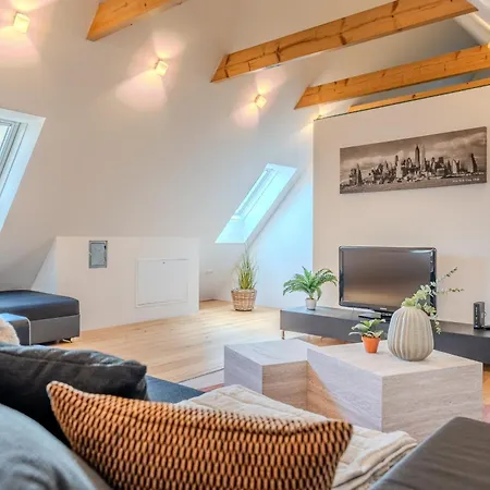 Apartment Danube Living Collection - Dachsberggasse - 90qm Altstadt-loft Mit Stadtblick