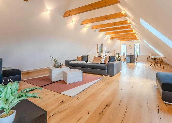 Appartement Danube Living Collection - Dachsberggasse - 90qm Altstadt-loft Mit Stadtblick *